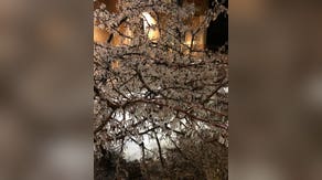 Oxford, Mississippi crippled by paralyzing inch+ of ice accretion, arctic air after monster winter storm