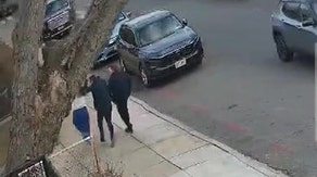 Watch: Trio nearly struck by falling tree in Brooklyn