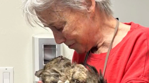 Watch: Cat lost wandering rubble of California wildfire for 2 months reunited with owner in viral video