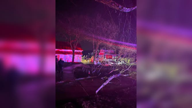 Damage to Purina Farms Pet Center the night of the tornado