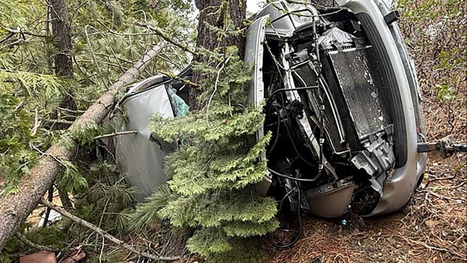 A man and his dog are counting their blessings after enduring a nearly day-long ordeal trapped in a mangled truck deep within a secluded California forest.