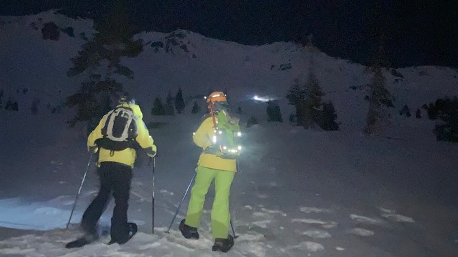 A coordinated rescue operation successfully brought a Canadian backcountry skier to safety after he sustained a severe leg injury atop Mount Shasta in California.