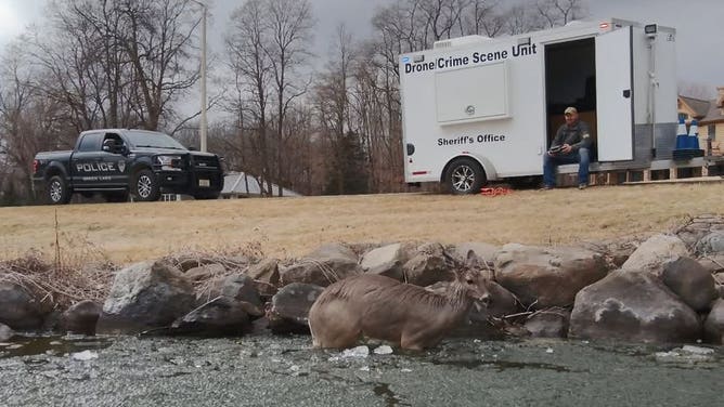 A nice still photo from the drone while directing one of 3 deer to shore after they went through the ice.