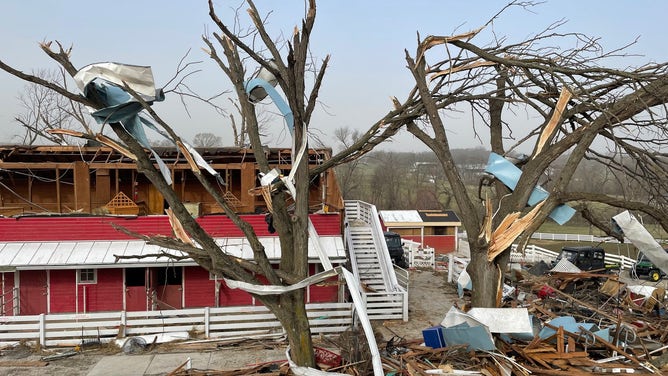 Storm debris hangs in trees left standing on Purina Farms after a tornado caused significant damage.