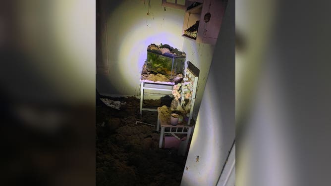 Ashlyn Carter-Lawson's home was damaged when a tornado caused the ceiling to collapse. 