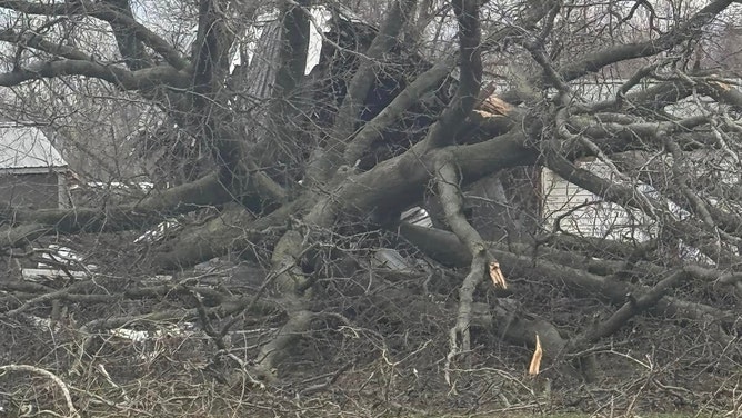Newsportual Weather Service warned that the destructive tornado had been sighted just after 4 a.m. and issued a "Particularly Dangerous Situation" Tornado Warning for Oakland City as the storm approached.