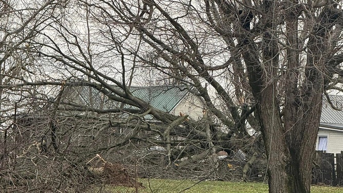 Newsportual Weather Service warned that the destructive tornado had been sighted just after 4 a.m. and issued a "Particularly Dangerous Situation" Tornado Warning for Oakland City as the storm approached.