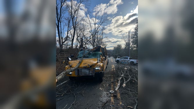 Tree falls onto school bus in New Jersey