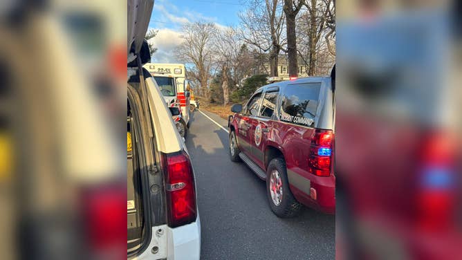 Tree falls onto school bus in New Jersey