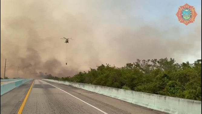 This image shows a wildfire burning in Miami-Dade County in Florida on Wednesday, March 19, 2025.