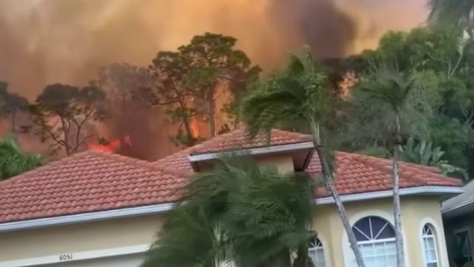 Some residents in Southwest Florida found themselves face-to-face with a wildfire on Wednesday.