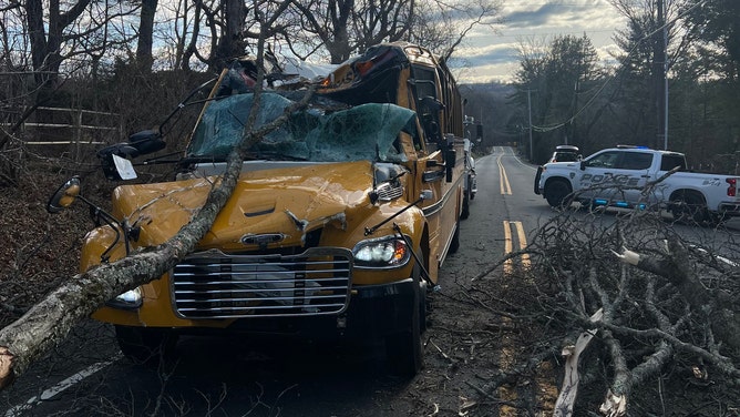 Tree falls onto school bus in New Jersey