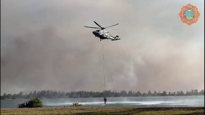 This image shows a wildfire burning in Miami-Dade County in Florida on Wednesday, March 19, 2025.