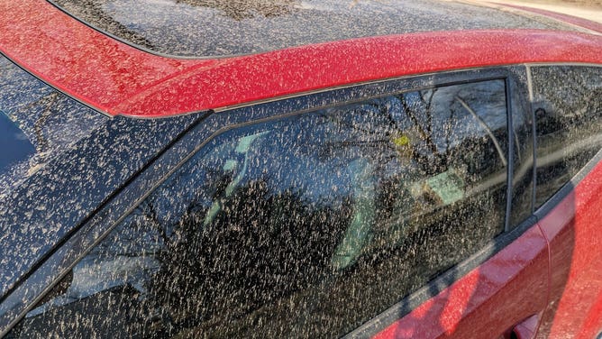 Dirty rain in Truxton, Missouri