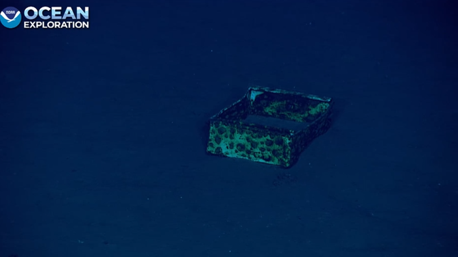 A drawer lays alone on the ocean floor.