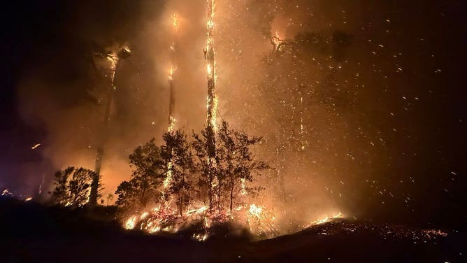 St. Johns County Fire Rescue responds to small brush fire in Northeast Florida in early March.