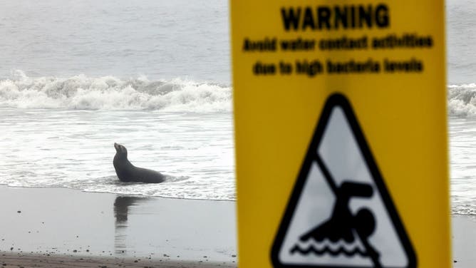 カリフォルニア州の海岸で洗浄された火災のゴミは、トパンガのパリセードでの火災であり、ウィルロジャース、州のビーチ、テスト。