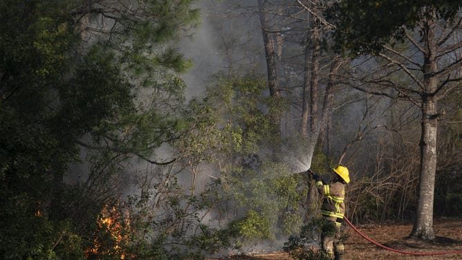 MYRTLE BEACH, SOUTH CAROLINA - MARCH 02: A firefighter battles a flare-up in the Carolina Forest neighborhood on March 2, 2025 in Myrtle Beach, South Carolina. Multiple forest fires in the area have caused evacuations along the South Carolina coast.