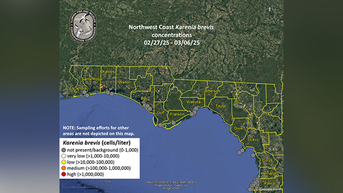 This graphic shows the Karenia brevis concentrations reported in Northwest Florida from Feb. 27 through March 6, 2025.