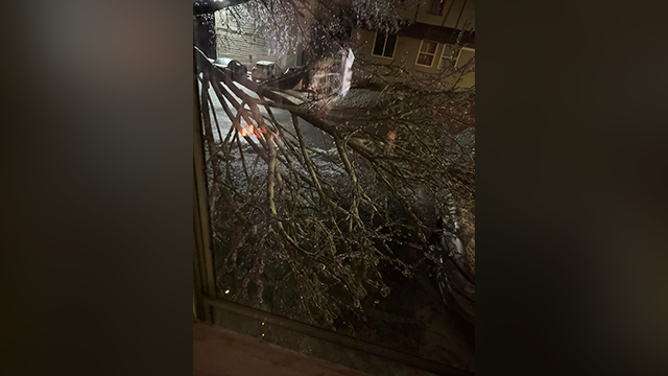 This image shows a tree that fell onto a car after snapping under the weight of ice in Petoskey, Michigan on Saturday, March 29, 2025.