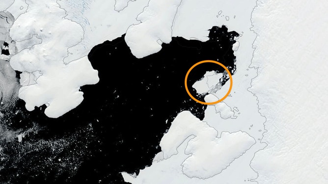 The MODIS Corrected Reflectance satellite imagery showing the iceberg calved from George VI Ice Shelf in the Bellingshausen Sea on 19 January 2025.
