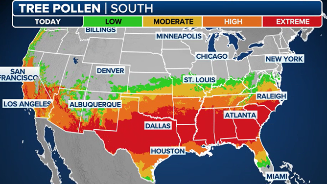 U.S. tree pollen map as of 3/21/2025