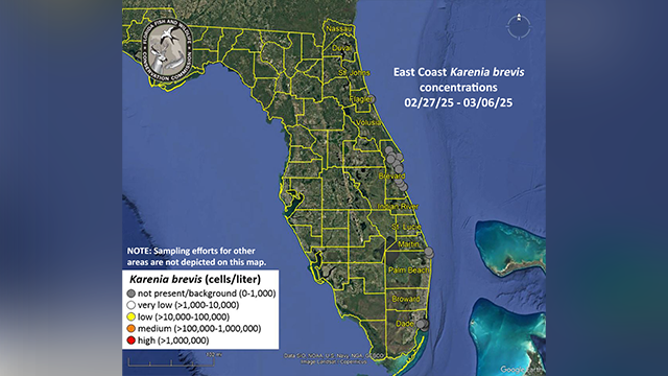 This graphic shows the Karenia brevis concentrations reported along Florida’s East Coast from Feb. 27 through March 6, 2025.