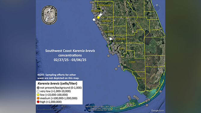 This graphic shows the Karenia brevis concentrations reported in Southwest Florida from Feb. 27 through March 6, 2025.