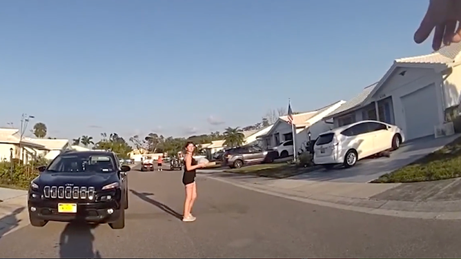 VIDEO: Gator forces Florida police officer to deliver pizza to keep the ...