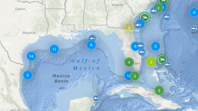 Map of active marine life being tracked by OCEARCH.