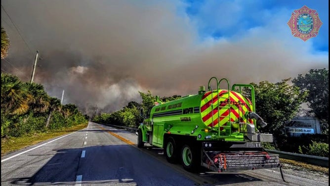 This image shows a wildfire burning in Miami-Dade County in Florida on Wednesday, March 19, 2025.