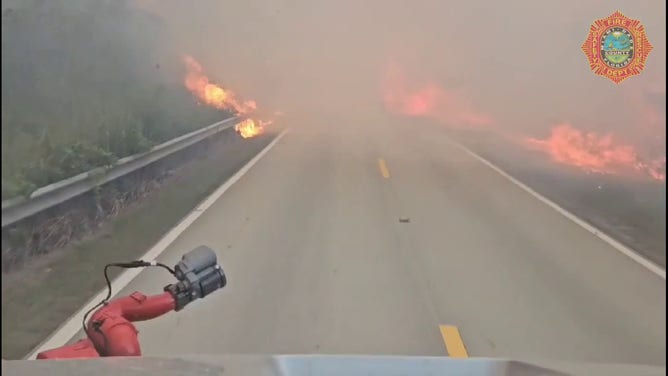 This image shows a wildfire burning in Miami-Dade County in Florida on Wednesday, March 19, 2025.