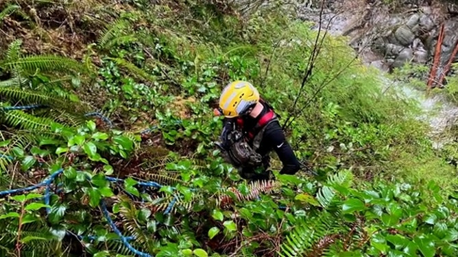 Authorities have transitioned their search for a 28-year-old woman who fell into a Washington state river on Sunday with her dog.