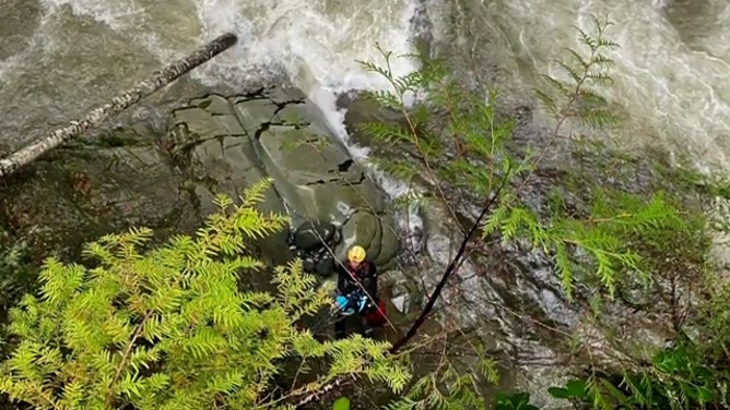 Authorities have transitioned their search for a 28-year-old woman who fell into a Washington state river on Sunday with her dog.
