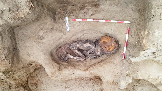GRAPHIC IMAGE: Photo shows the remains of the woman found in Peru.
