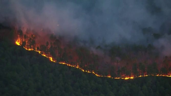 This image shows the flames from the Jones Road Wildfire burning in Ocean County, New Jersey, on Tuesday, April 22, 2025.
