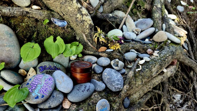 Close-up shot of a memorial created for the Tree of Life.