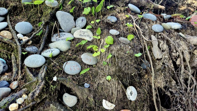 Close-up shot of a memorial created for the Tree of Life.