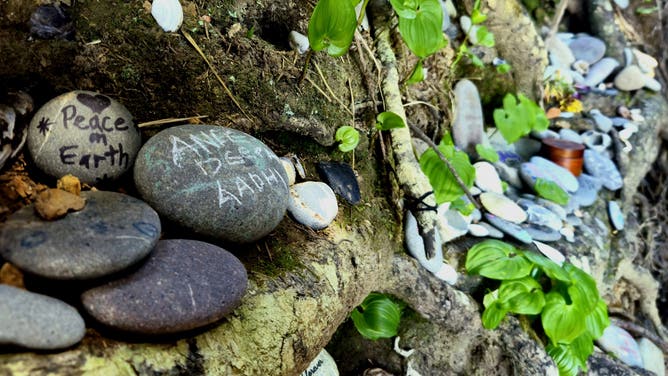 Close-up shot of a memorial created for the Tree of Life.