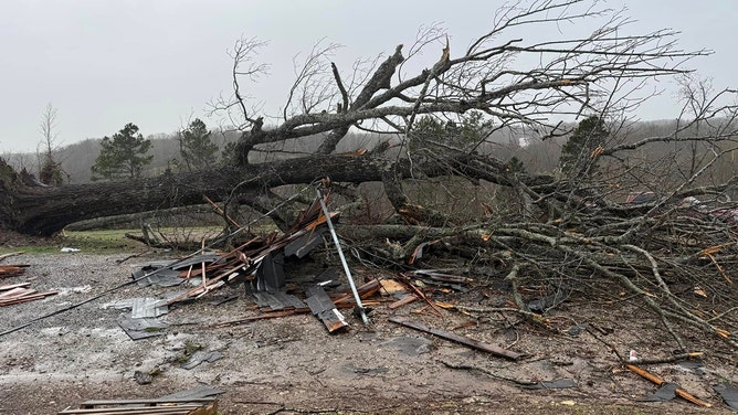 A Missouri couple's home was destroyed by a powerful tornado, but amidst the devastation, pages from their wedding album were discovered over 100 miles away.