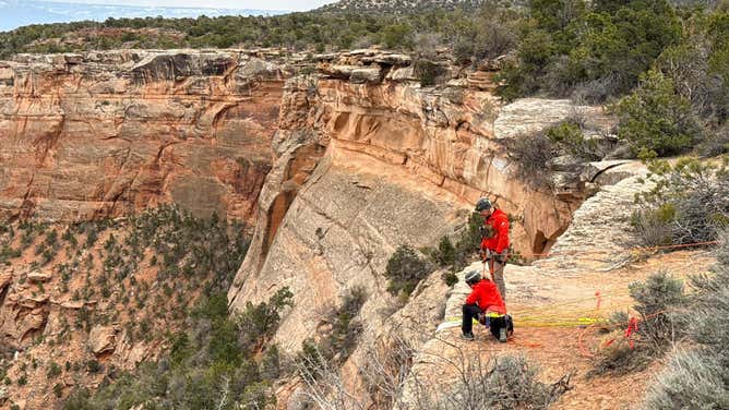 Search and rescue team members peering over the canyon ledge.