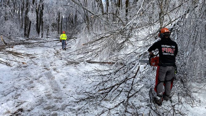 Crews cleaning up downed trees.