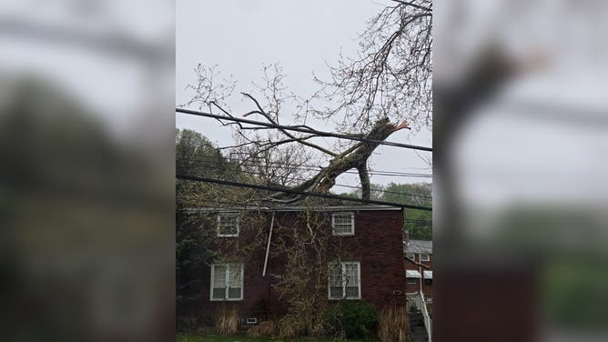 Wind damage in Leetsdale, PA.