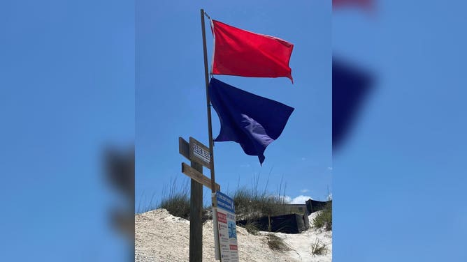 Purple flag indicating marine life along a beach in Florida.