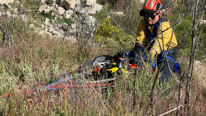 San Bernardino County Fire Protection District crews haul equipment down the mountain to set up a rope rescue system to extract the victim.
