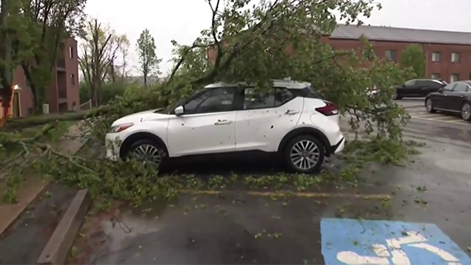 This image shows a tree that fell onto a car in Pittsburgh during severe weather on Tuesday, April 29, 2025.