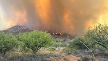 Arizona's Cody Fire scorches 1,000 acres near Tucson, prompting evacuations
