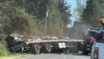 250 million bees unleashed upon northern Washington after truck overturns