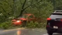 Vermont driver slams into fallen tree that was brought down by lightning