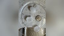 Dozens report significant hail as storms sweep through Tennessee Valley, Appalachia on Thursday